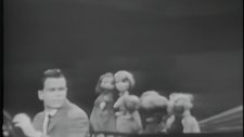 Paul Evans - Sitting In The Back Seat