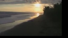 Dashboard Confessional - Dusk and Summer