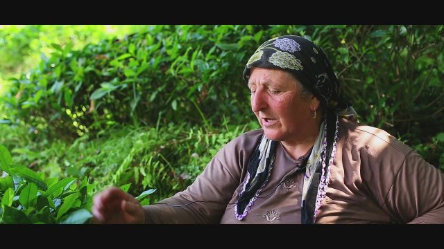 Gözyaşı Yolu (2016) Fragman