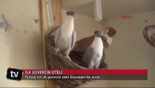 Türkiye'nin İlk Güvercin Oteli