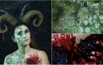Şahmeran Makyajı | Snake Makeup | Cadılar Bayramı Fx Makyajı - Cilt Bakımı