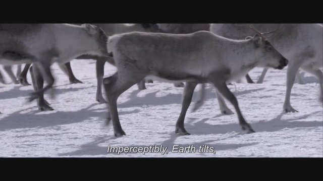 Les saisons (2015) Fragman