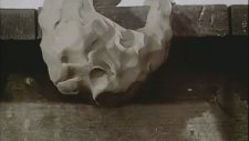 İstenmeyen Gebelik Üzerine Etkileyici Bir Stop Motion
