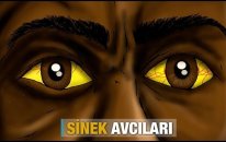 Sinek Avcıları - Haber