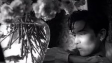 K.D. lang - Constant Craving