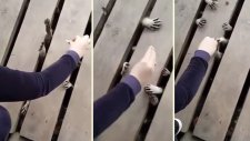 Korku Filmini Aratmayan Yemek Telaşı Görüntüleriyle Rakunlar