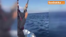 Kuşadasında Avlanan Amatör Balıkçının Oltasına Köpekbalığı Takıldı