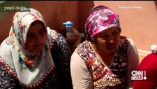 Yeşil Doğa 30 Ekim 2016