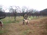kangal kavgaları