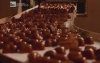 Çikolata Nasıl Yapılır? Çikolata Fabrikası