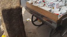 Hindistanda İnek Olmak