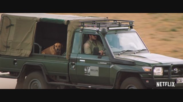The Ivory Game (2016) Fragman