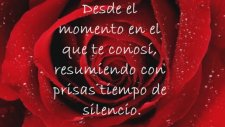 La Oreja De Van Gogh - Rosas
