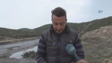 Elleriyle 15 Kiloluk Balık Yakaladı