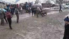 Saykodelik Düğün Ayini Vol2