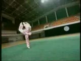 Wushu Tanıtım