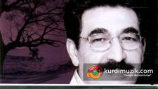 Xelil Xemgin - Amed