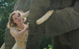 The Zookeeper's Wife (2016) Sneak Peek