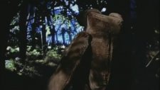 Björk - Human Behavior