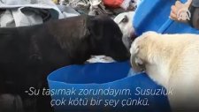 Türkiye'nin En Güzel Adamı