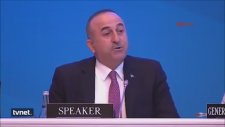 Dışişleri Bakanı Mevlüt Çavuşoğlu - Ermeni Vekile Cevap