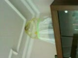 border canary(from istanbul)