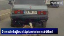 Çorlu'da Otomobile Bağlanan Köpek Metrelerce Sürüklendi