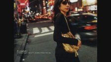 PJ Harvey feat. Thom Yorke - This Mess We're In