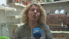 WhatsApp Çay İsteme Hattı