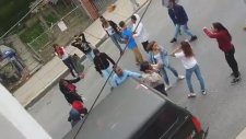 Acımasız Kız Kavgası