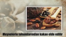 Dünyada İlkler İlk Kakao Üretimi