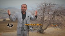 Haymanalı Beko