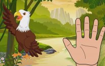 Animals Finger Family | Mega Finger Family Collection | Animals Finger Family Song