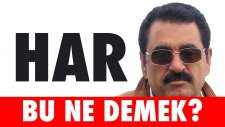 Bu Ne Demek? - Fotoğraflı Kötü Espri Yarışması