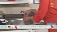 Meltem Açıkel'den Doğal Lavabo Açıcı