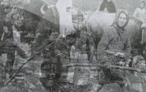 Mediha Şen Sancakoğlu - Beyaz Gul
