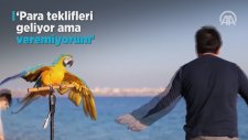 Papağan Cabbar'la 20 Yıllık Dostluk