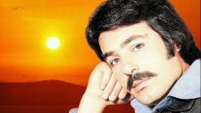 Ferdi Tayfur - Bağbozumu