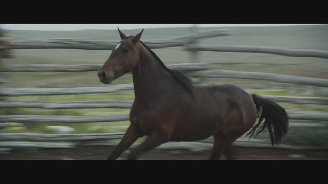 El invierno (2016) Fragman