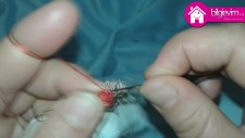 Tığ işi Kirazlı Yazma Oyası Yapılışı Videolu Anlatım