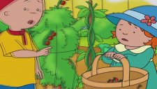 Caillou Türkçe - Caillou Islık Çalmaya Çalışıyor