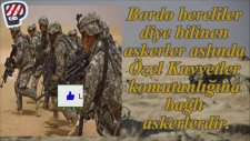 Bordo Bereliler Hakkında 10 Bilgi