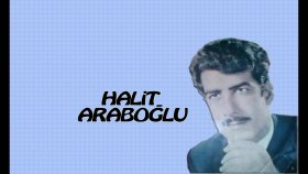 Halit Araboğlu - Rüzgar Mı Attı