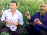 Karadır Kaşların Aşık Mustafa Yaman Ve Ekibi
