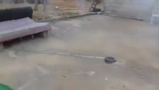 İçinden Bruce Lee Çıkan Dayı