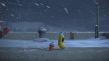 Larva - Soğuktan Donan Zavallı Larvalar