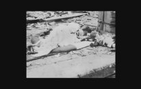 Nazım Hikmet - (Kendi Sesinden) & Sevingül Bahadır - Kız Çocuğu