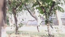 Tacizden Arananlar Listesine Giren Hintli Youtuber