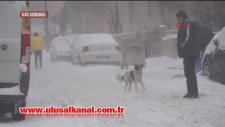 Bizim Çocuklar Kutup Ayısı Mı?