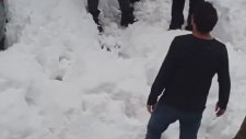 Kedi Barınağı İstemeyenler
